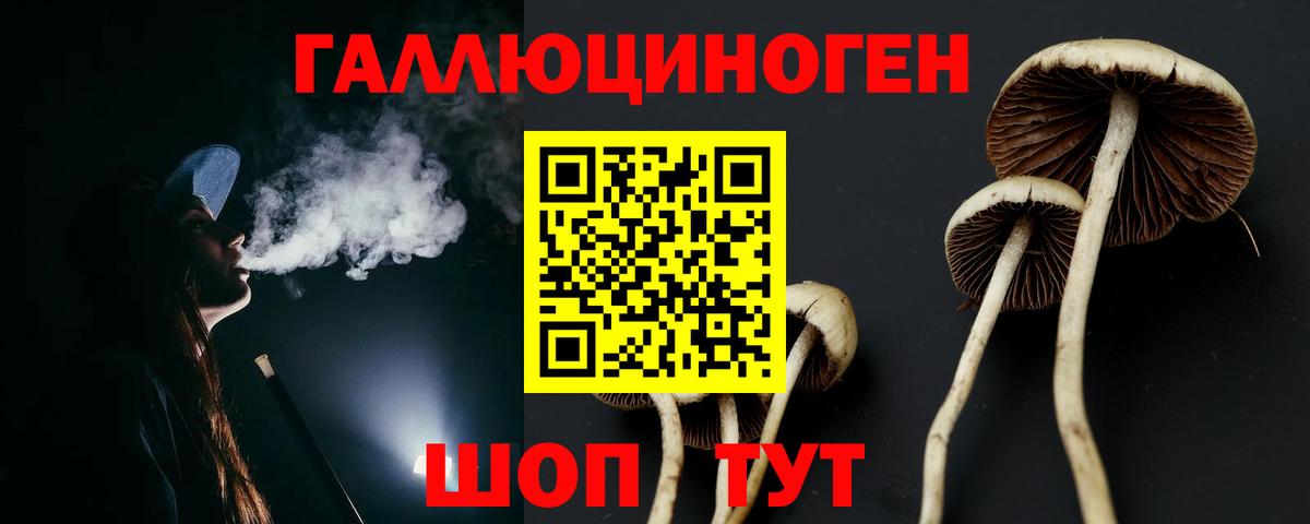 Псилоцибиновые грибы мухоморы  Вход с VPN  Туапсе  Псилоцибиновые грибы Psilocybine cubensis 
